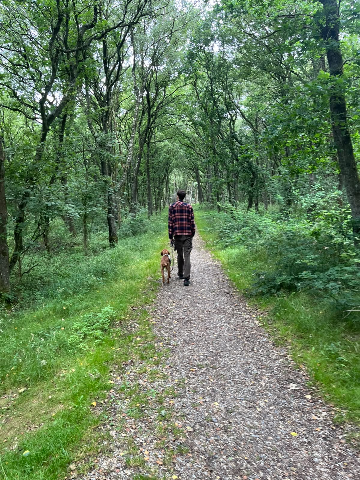Daniel geht mit seinem Hund auf einem Waldweg.